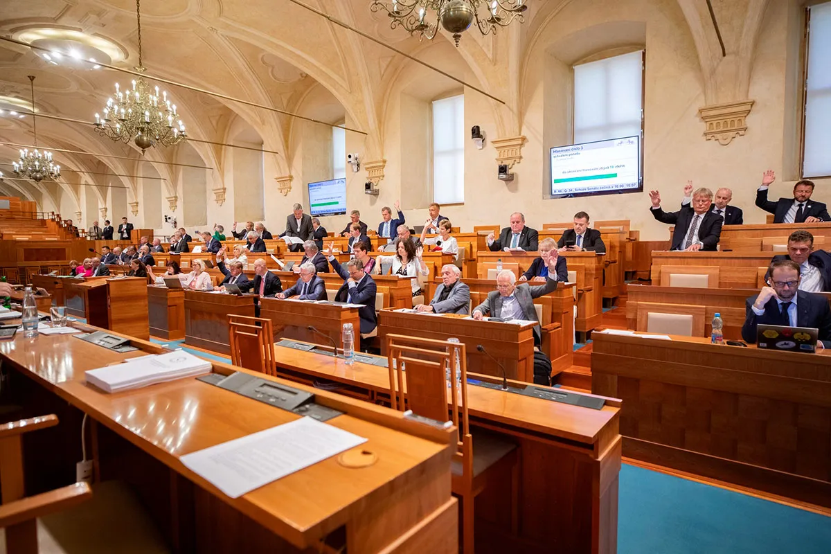 Сенат Чехії закликав використати український досвід ППО та боротьби з дронами