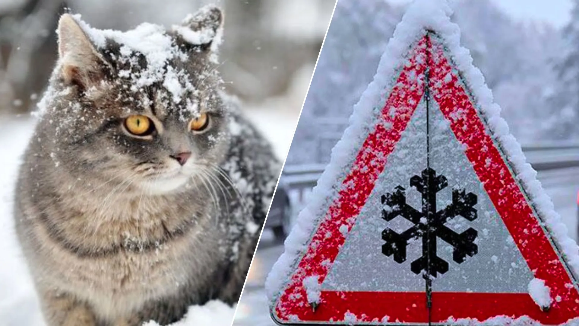 Сильний мороз та ожеледиця: синоптики попередили про небезпечну погоду 4 лютого