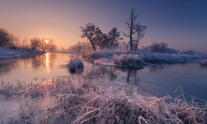 До України вперше привезуть оригінал Конституції Пилипа Орлика