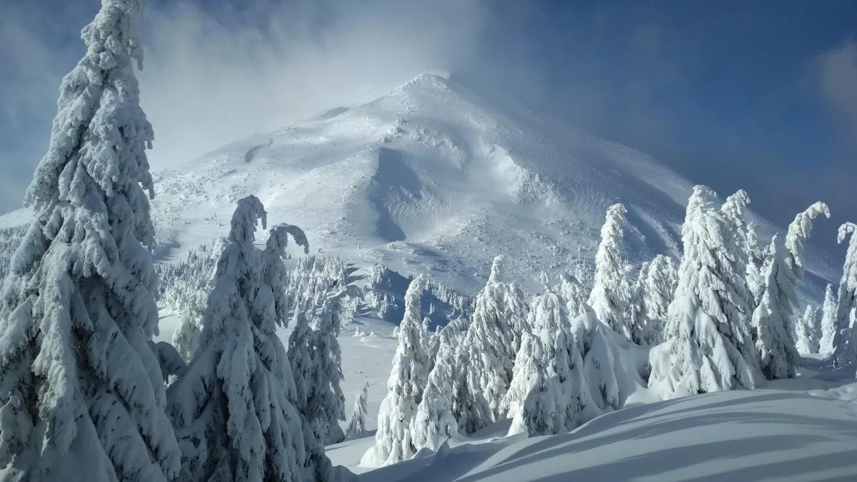 Рекордні за останні 20 років снігопади накрили Закарпаття