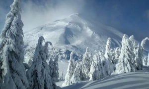 За останню добу в Україну з-за кордону повернулося понад 40 тисяч українців