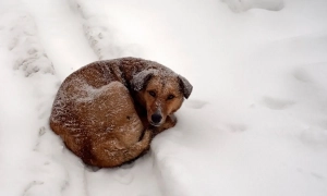 Переробна промисловість і торгівля забезпечили понад третину податкових надходжень до бюджету