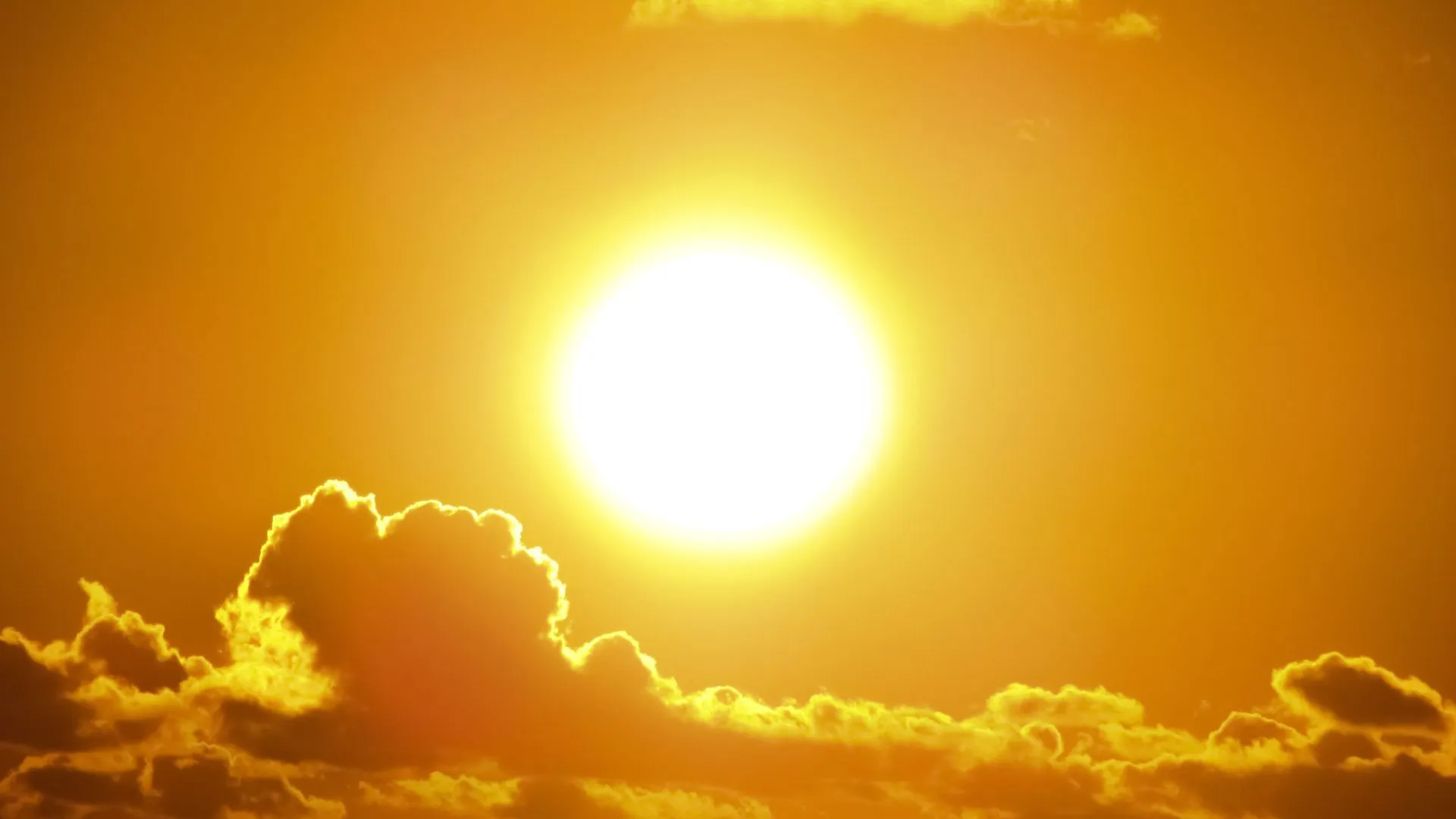 Germany recorded a record high of over 41°C