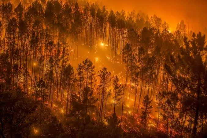A massive wildfire in Belgium has already engulfed 3,000 hectares
