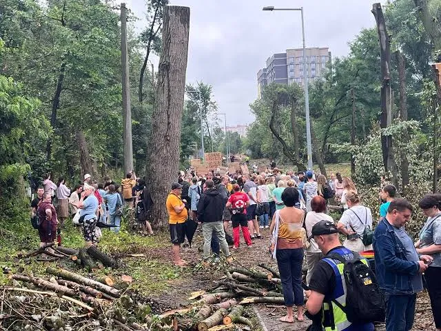 Альтернативы вырубке деревьев в Теремках для строительства теплосети нет — КГГА