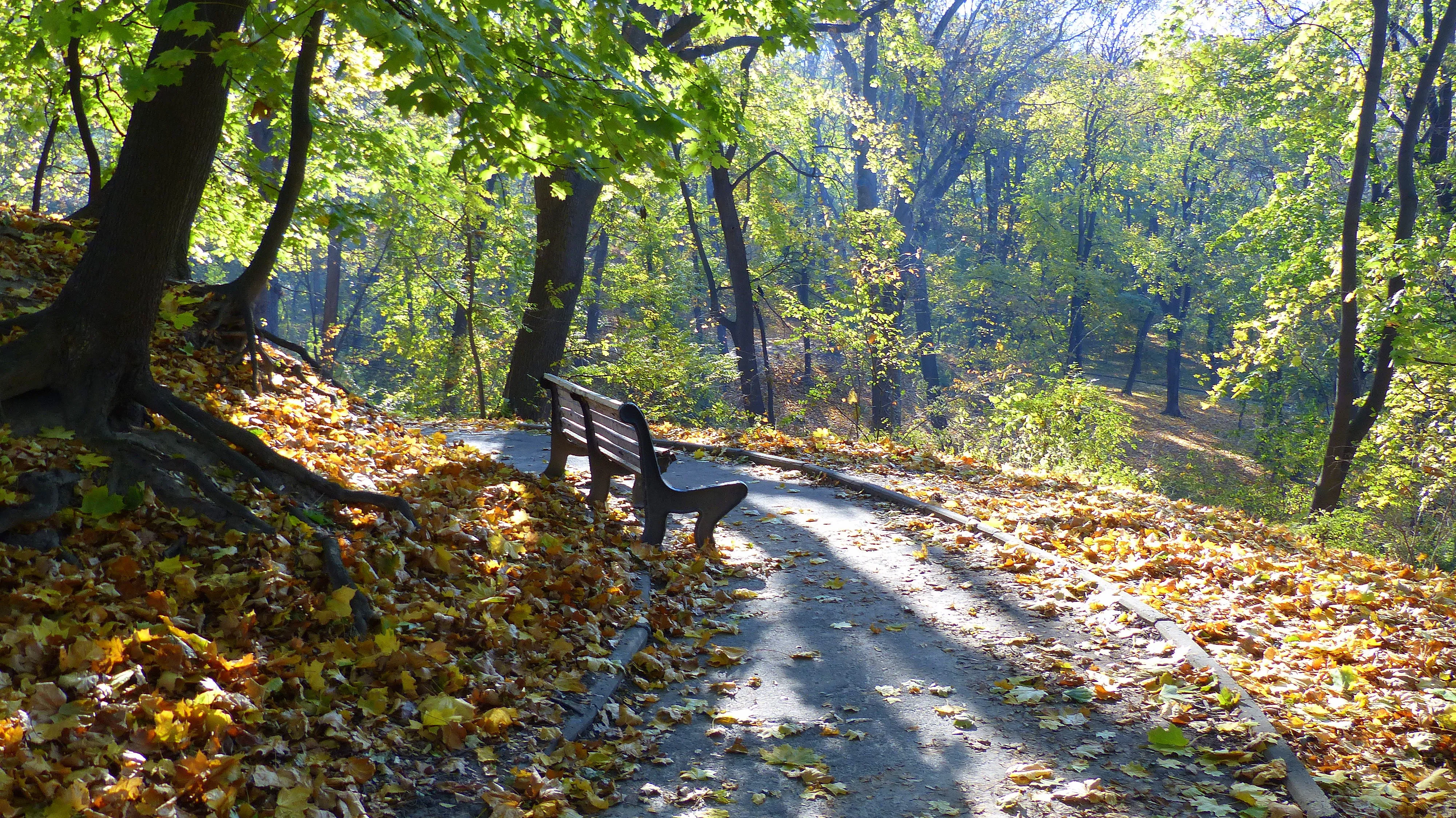 Завтра в Україні різко потеплішає — Діденко