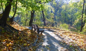 Колишньому заступнику міністра інфраструктури суд змінив запобіжний захід