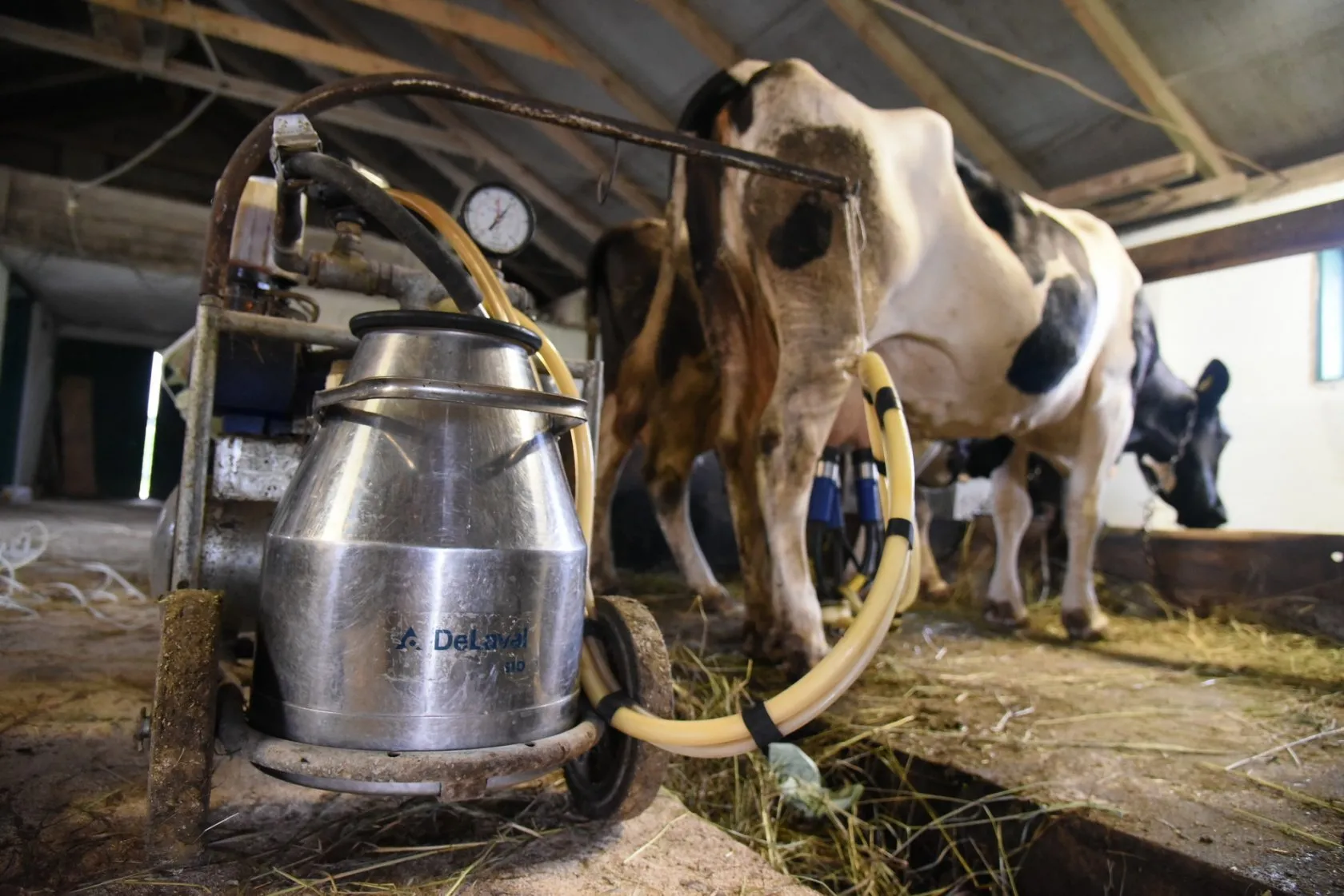 Poland has called for the protection of small farmers in Ukraine as the country joins the EU