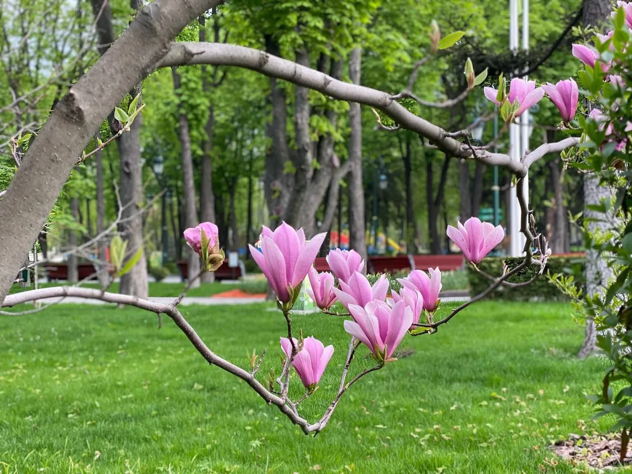 Синоптики дали прогноз на травень: буде прохолодніше норми