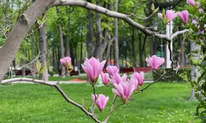 «Оппозиционный блок» выгнал из фракции Левочкина и Бойко