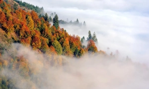 Україна розпочинає підготовку до проведення Євробачення-2023