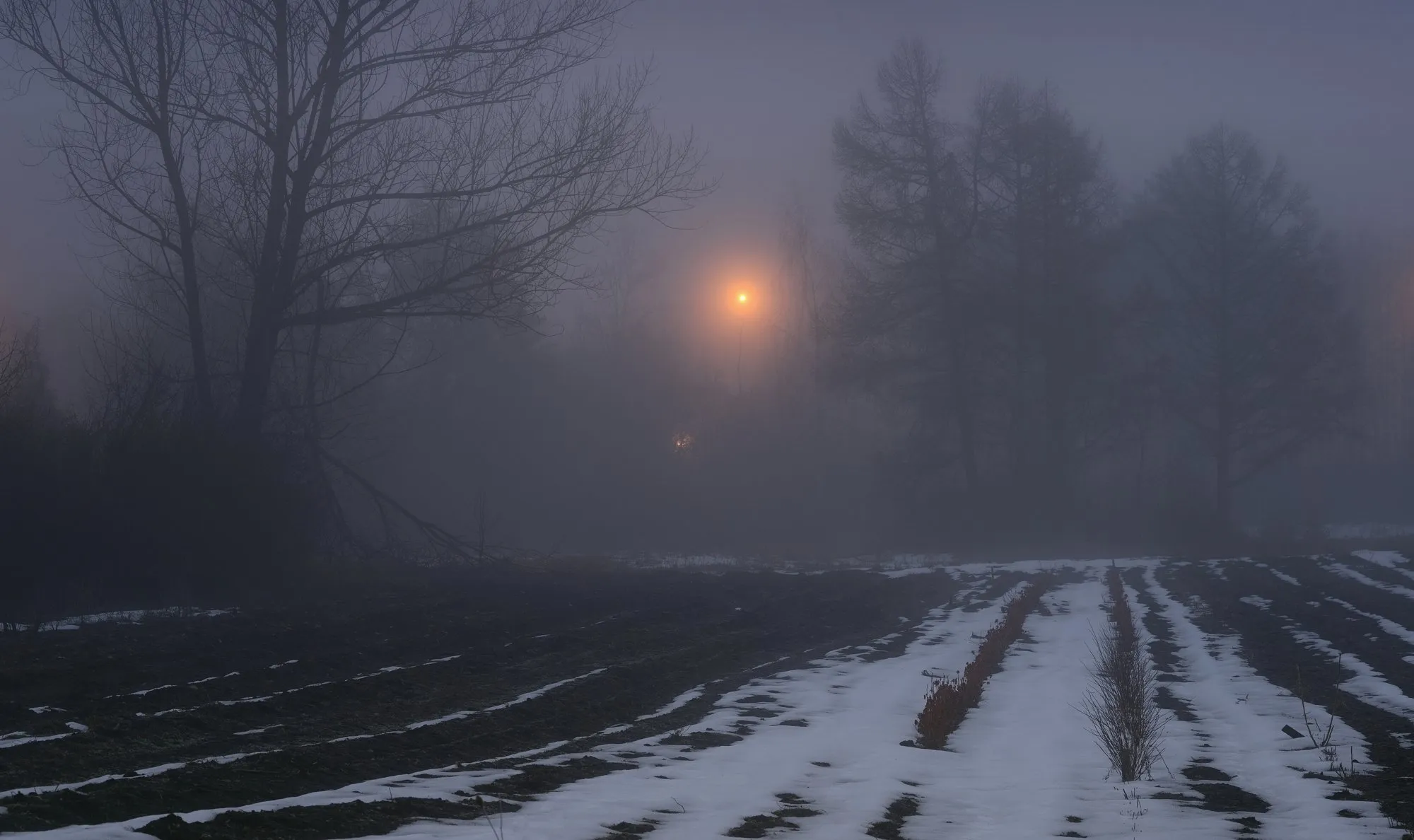 Після Різдва в Україні можливі нічні морози до −12 градусів