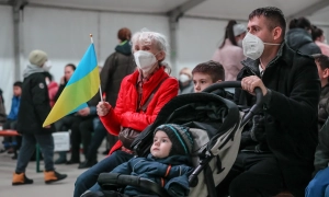 Майже 287 млн грн штрафів сплатили «ухилянти» за порушення мобілізаційного законодавства