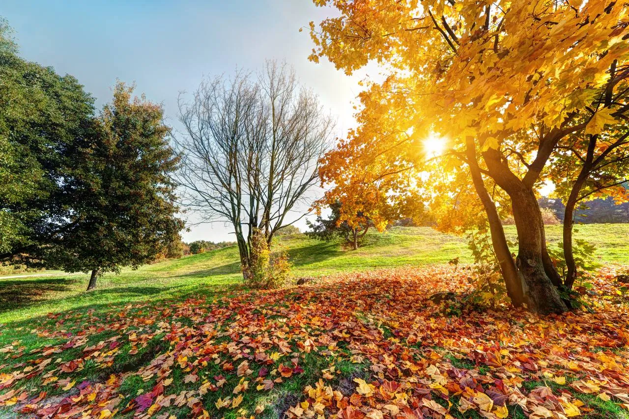 Indian Summer will return to Ukraine as early as this week