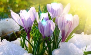 В Україні повідомили про підозру інженерам, які допомагали відновлювати нафтозаводи РФ