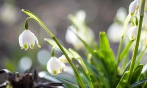 В СБУ підбили підсумки роботи під керівництвом Василя Малюка