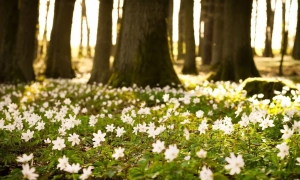 ДТЕК відключилося від енергосистеми через ракетну атаку рф