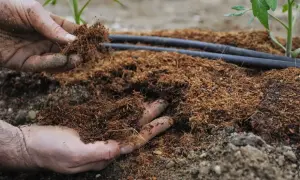 Ісламісти готують Європі масові отруєння і пожежі