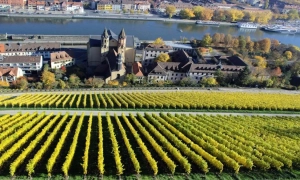 Янукович воскрес: дав коментар пропагандистам