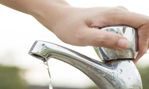 Депутат «Слуги народу» нецензурно обізвала екс-депутата Олега Ляшка