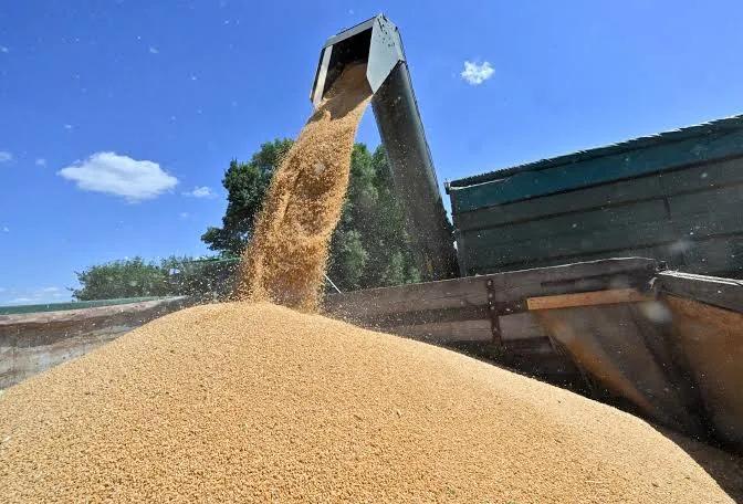 Россия пытается сорвать сухопутный экспорт сельскохозяйственной продукции из Украины — ISW