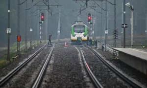 Таліби будують завод із переробки канабісу. Фармкомпанія з Австралії заперечує участь