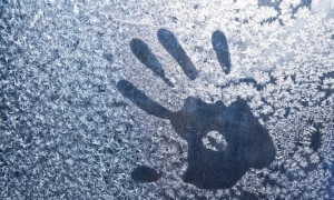 Фото: ще один «слуга народу» порушив правила ПДР, авто забрав евакуатор