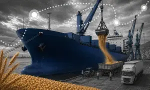 Туск сообщил об освобождении трёх человек в рамках обмена с Беларусью