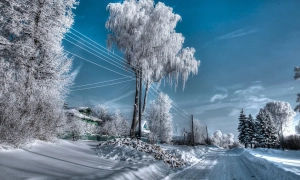 ЗСУ відбили атаки окупантів районі Роботино