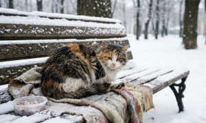 Зеленський закликав посилити роботу зовнішньої розвідки за кордоном