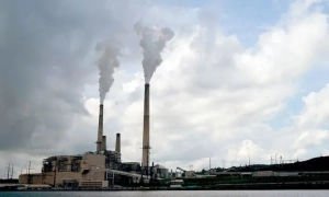 В ЄС пояснили, чому не введуть санкції проти Лукашенка 