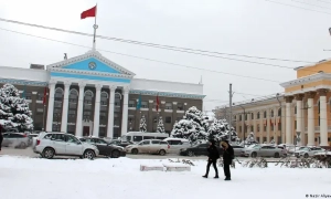Сніг в Антарктиці став рожевим (фото)