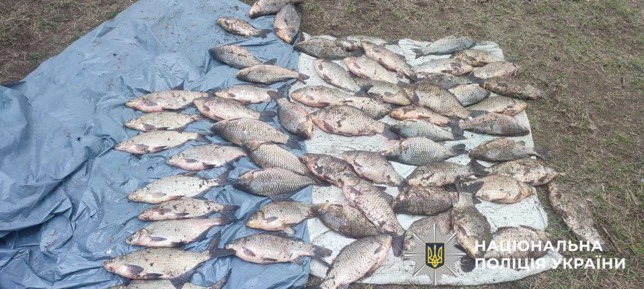 На Вишгородщині спіймали браконьєра, який наловив карасиків на 90 тисяч гривень