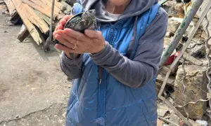 Зеленський доручив МЗС зайнятися іранськими дронами