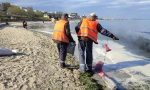 У Міноборони показали знищення польового складу окупантів