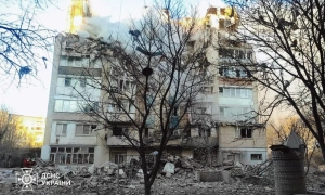 Незаконна вирубка лісу на Львівщині: викрито схему збитків на 9 мільйонів гривень