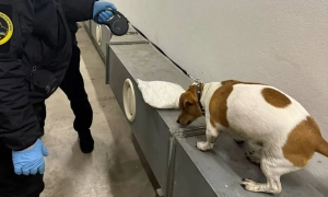 У Раді спалахнув скандал через слова Третьякової про померлого нардепа Полякова