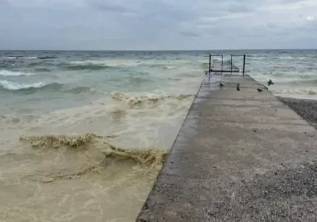 Пляма олії в Чорному морі сягнула 55 кілометрів узбережжя