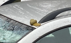 Володимир замість Володимир-Волинський: Верховна Рада перейменувала чергове місто