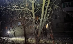 Стан тигрів під Харковом невідомий після бомбардування (Відео)