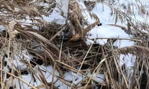 Переговори США та Росії: Столтенберг озвучив позицію НАТО