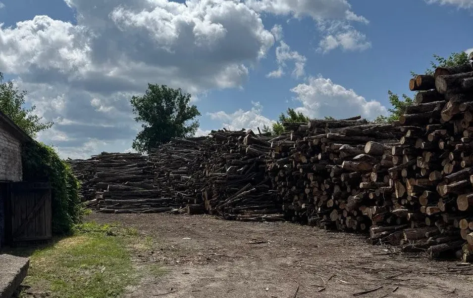 У Сумах викрили схему з деревиною для армії на майже 4 мільйони