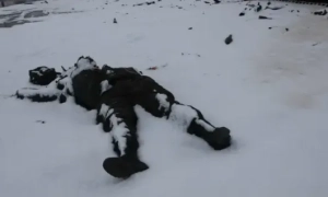 Міноборони допустило до використання в ЗСУ безпілотний комплекс «Хижий птах»