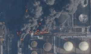 В Австралії відкрили новий вид орлів, які існували понад 20 млн років тому. Це одні з найстаріших орлиноподібних у світі