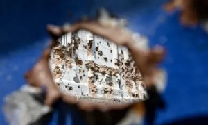 ЗСУ під час контрнаступу на Харківщину знищили російської техніки на $670 млн – Forbes