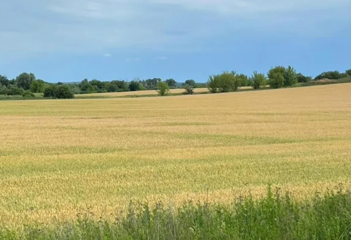 Держава повернула 564 га особливо цінних земель НААН