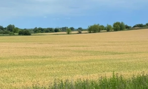 «Укрпошта» отримала десятки тисяч повісток з QR-кодами: кому очікувати на листи