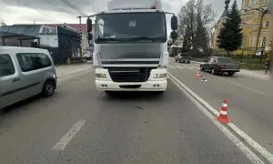 У Карпатах вирубали тисячі дерев і справа дійшла до суду