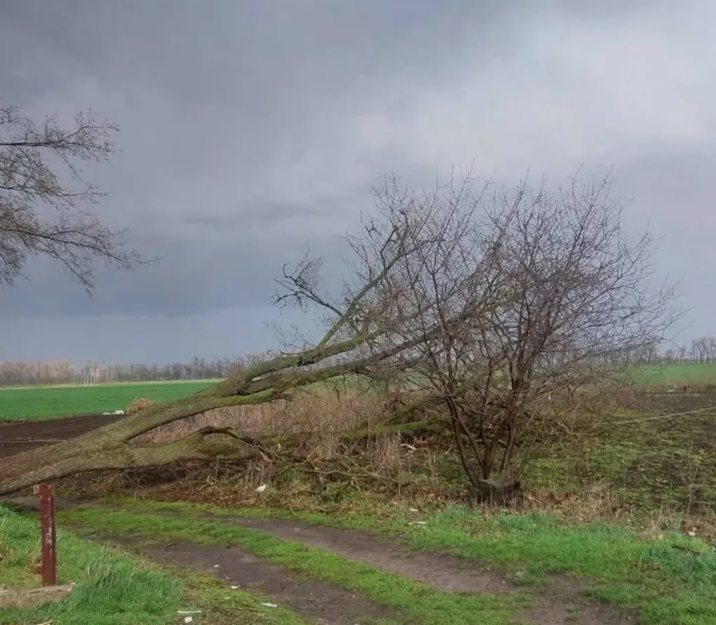 Непогода оставила часть Киевской области без света