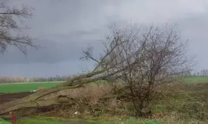 Укренерго повідомило, чи вимикатимуть світло 24 квітня